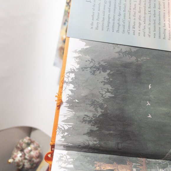 Harry Potter Books 1-3 Illustrated First Editions Jim Kay Bundle - Picture 14 of 14